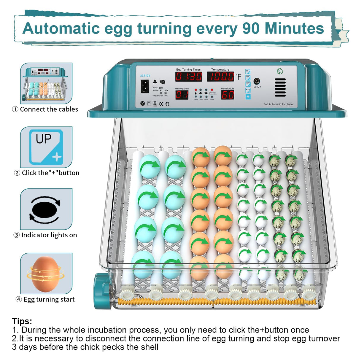 64 egg incubator with day counter, product photo 5