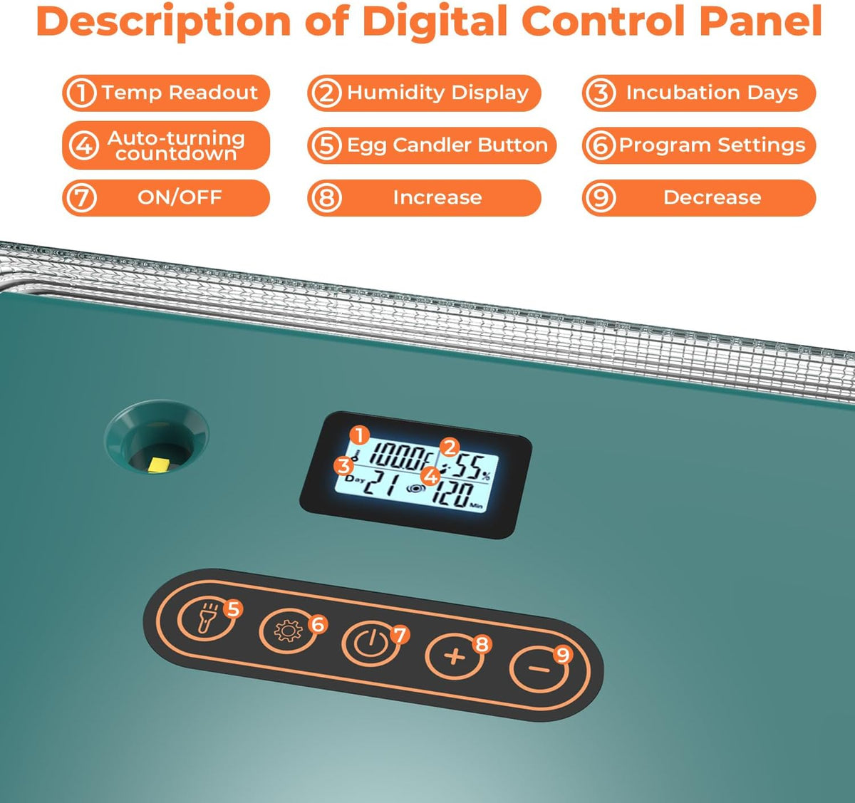 25 egg incubator with temperature alarm, product photo 5