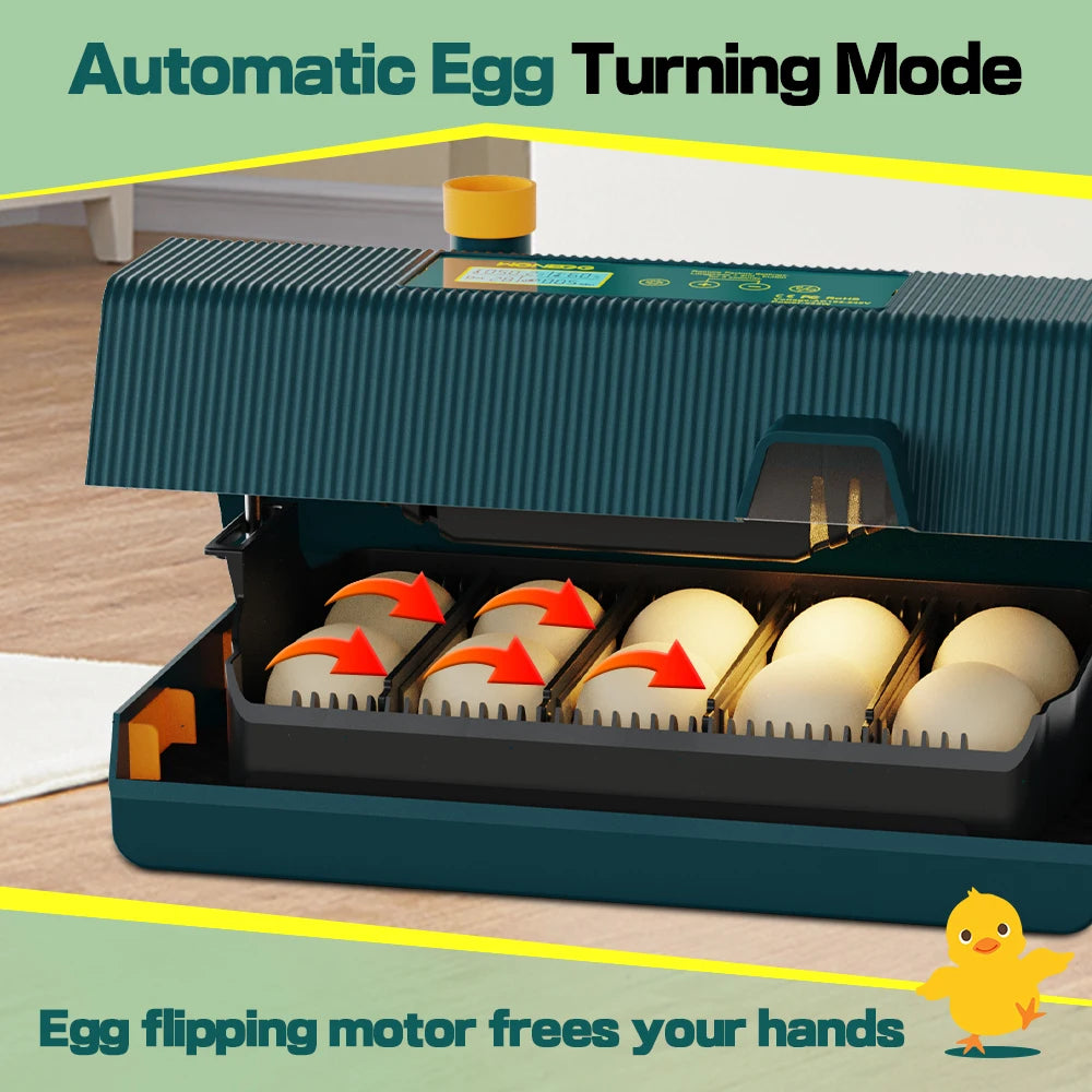 10 egg classroom incubator with candler, product photo 3