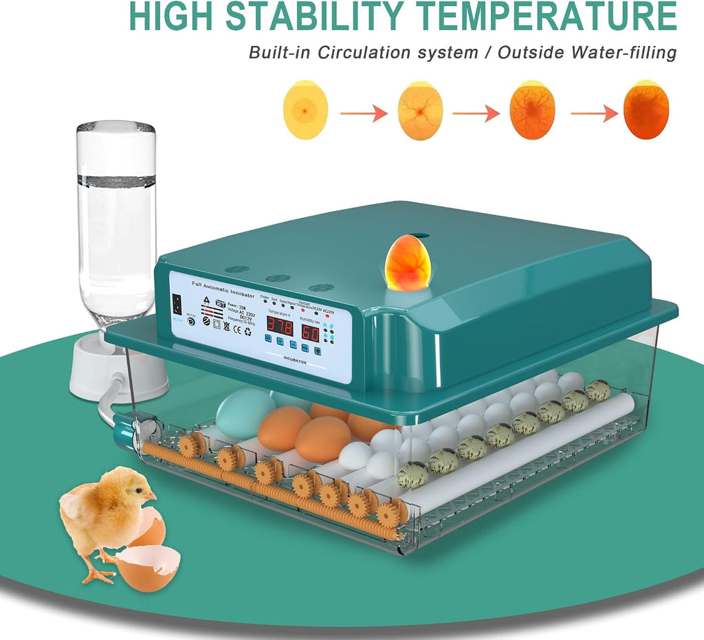 36 egg incubator with automatic water fill, product photo 3