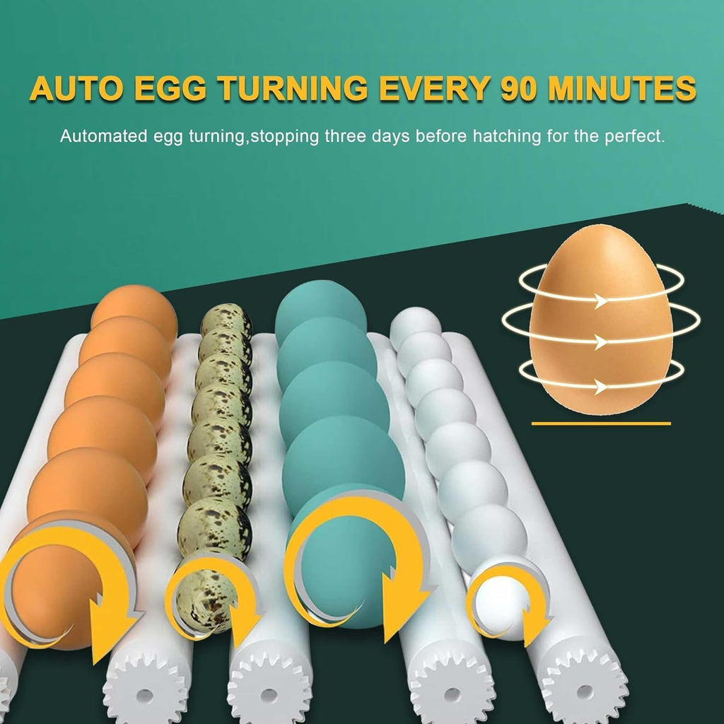 36 egg incubator with automatic water fill, product photo 2