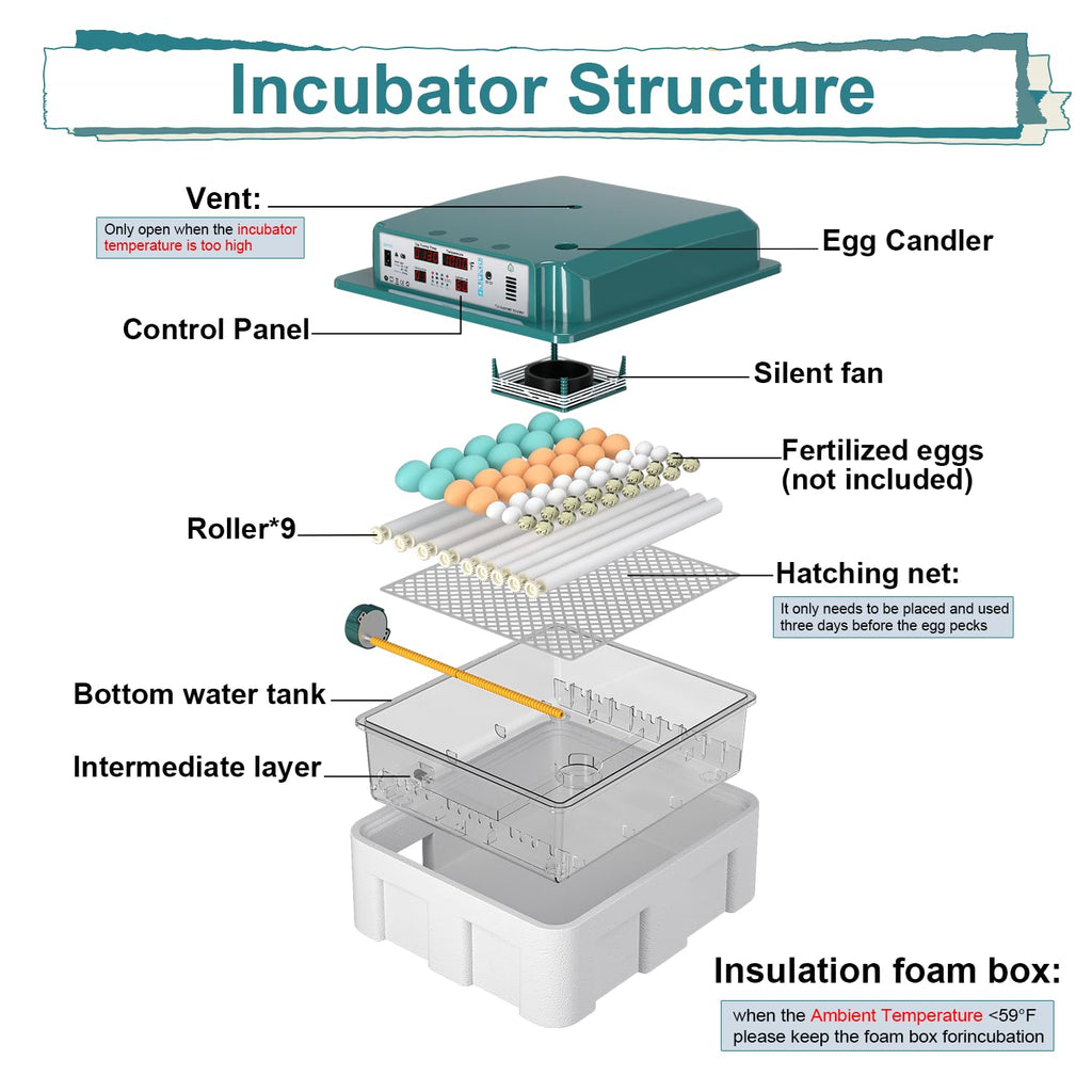 64 egg incubator with day counter, product photo 8
