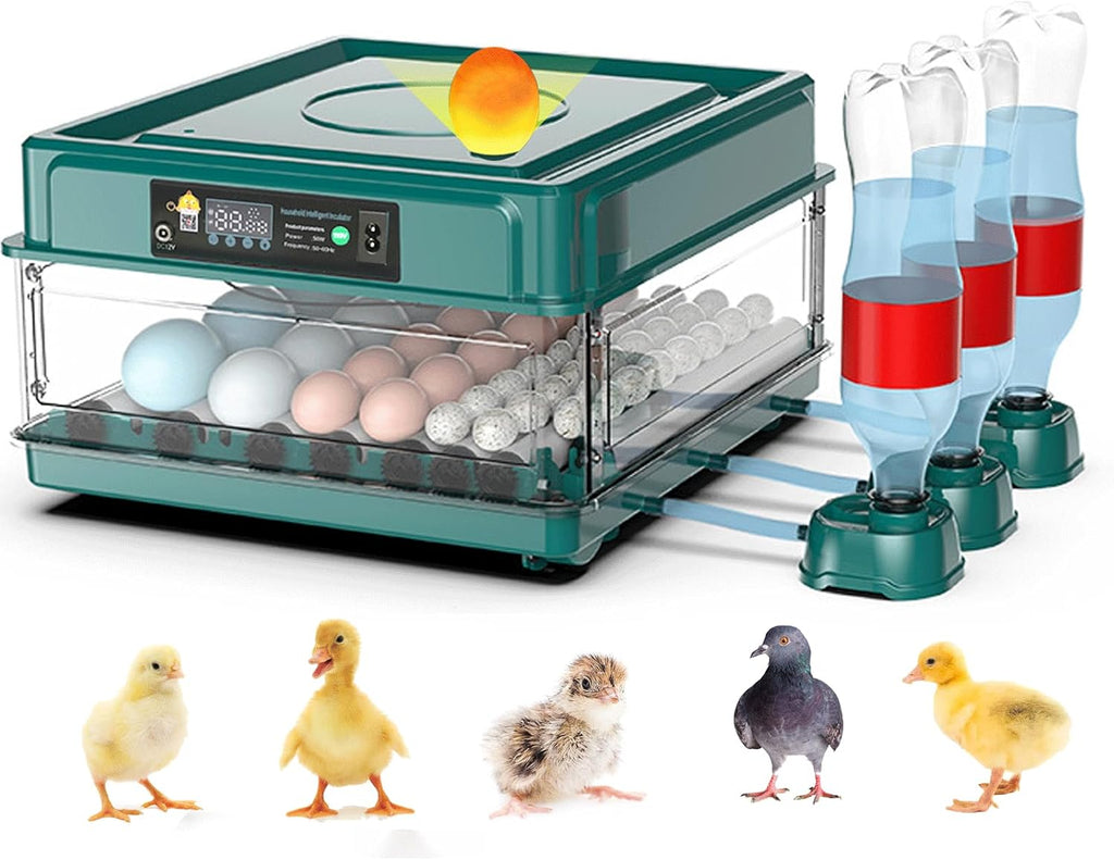 38 egg incubator with automatic turner, front view