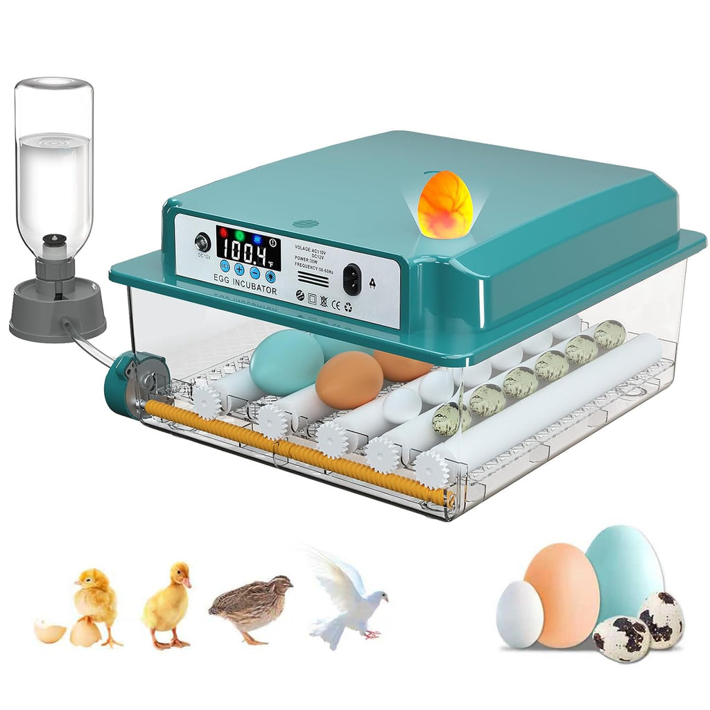 16 egg incubator for chicken and quail eggs, front view