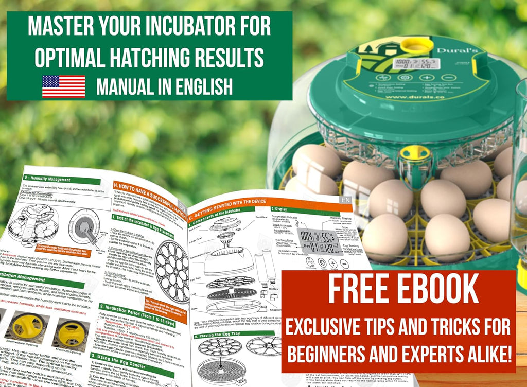 18 egg incubator with day-18 auto stop, product photo 8