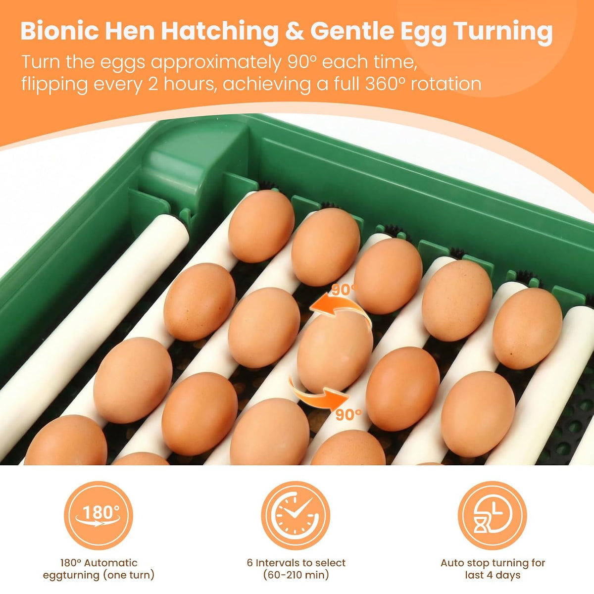 24 egg incubator with humidity control, product photo 2