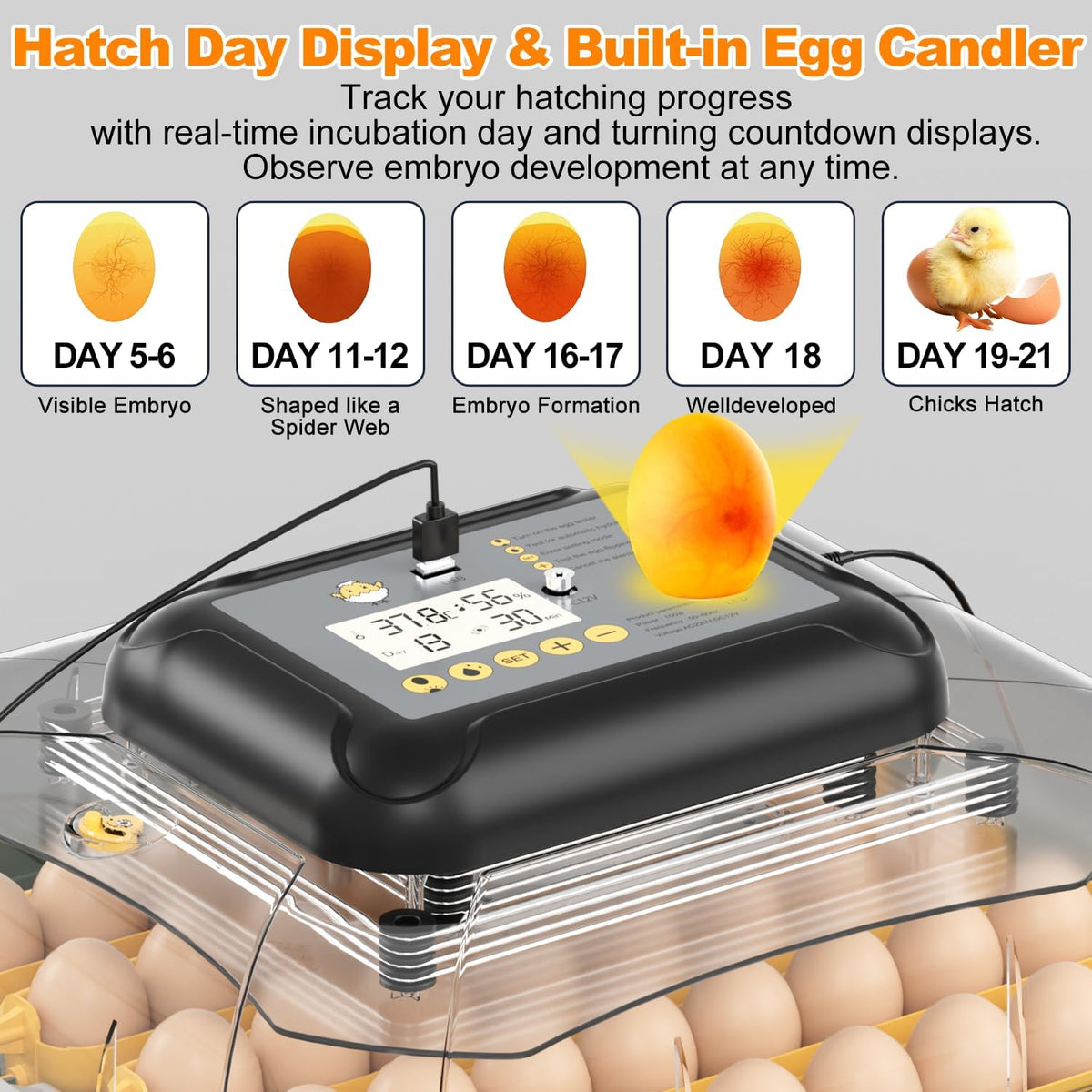 30 egg incubator with automatic water refill, product photo 4