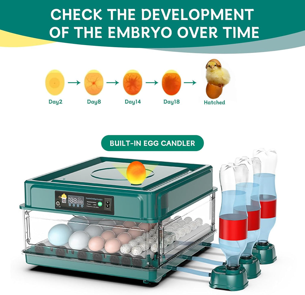 38 egg incubator with built-in candler, product photo 4