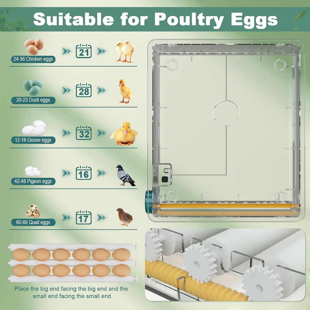 36 egg incubator with egg candler, product photo 7