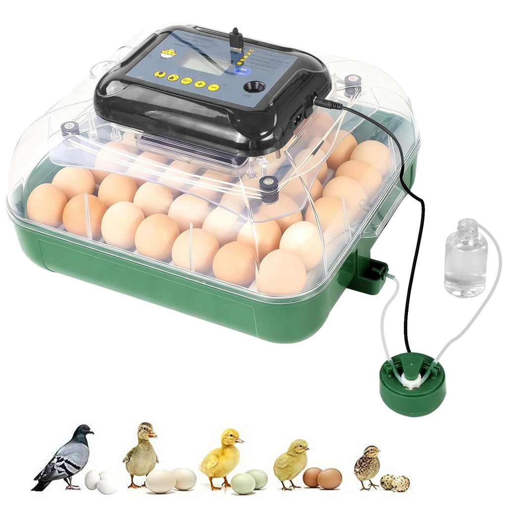 24 egg incubator with automatic turner, front view