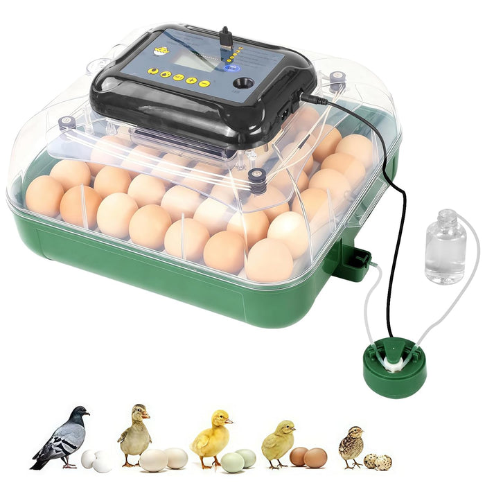 24 egg incubator with automatic turner, front view