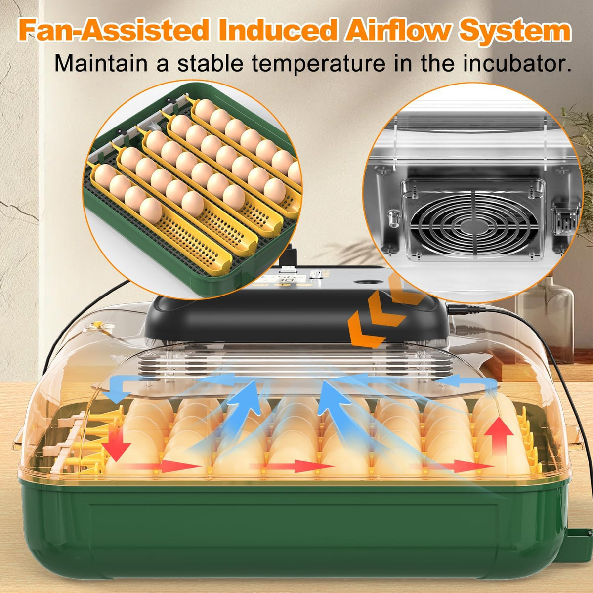 30 egg incubator with automatic water refill, product photo 6