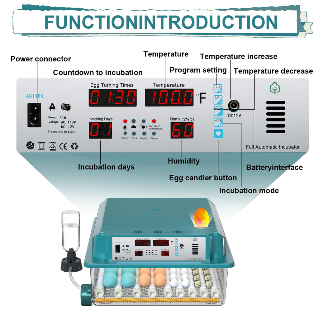 64 egg incubator with day counter, product photo 7