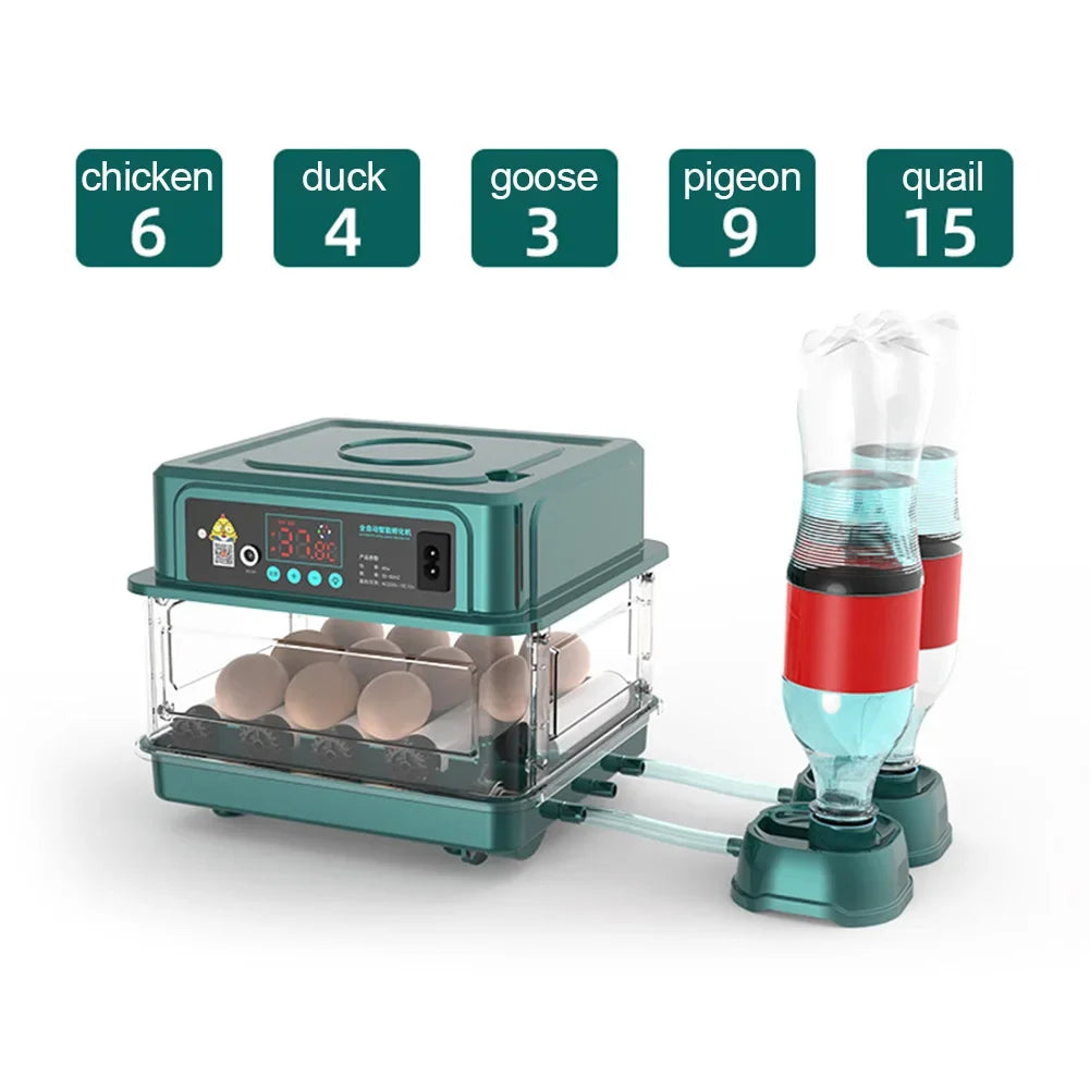 6 and 12 egg incubator with automatic turner, front view