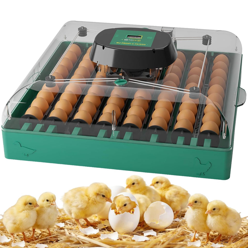 72 egg incubator for chicken and duck eggs, front view