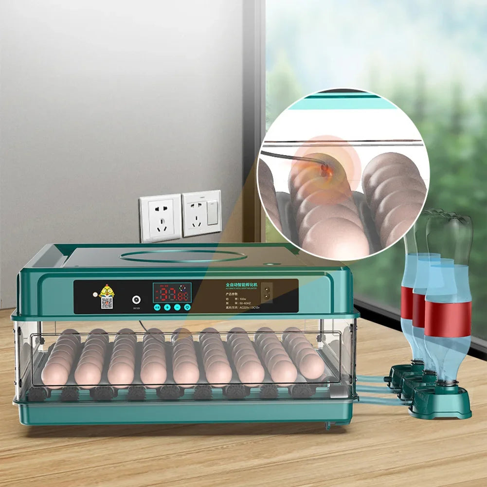 6 and 12 egg incubator for chicken and quail eggs, product photo 2