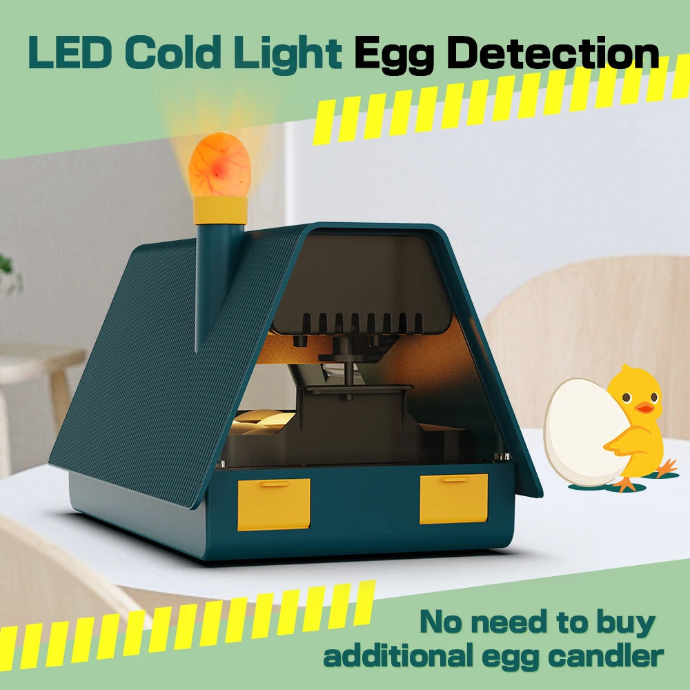 10 egg classroom incubator with candler, product photo 4