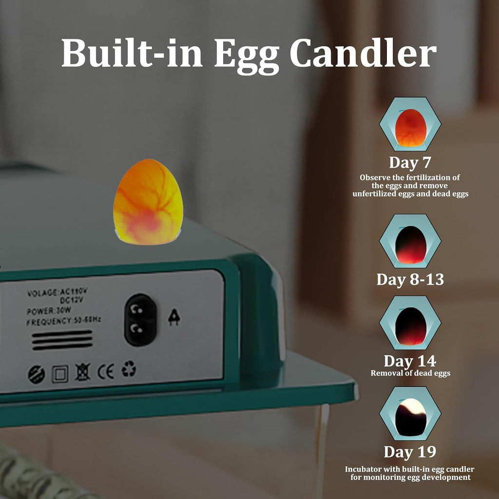 16 egg incubator with automatic turner, product photo 6