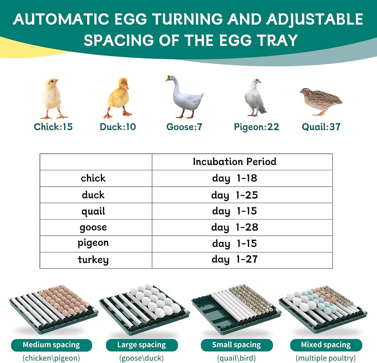 38 egg incubator with built-in candler, product photo 3