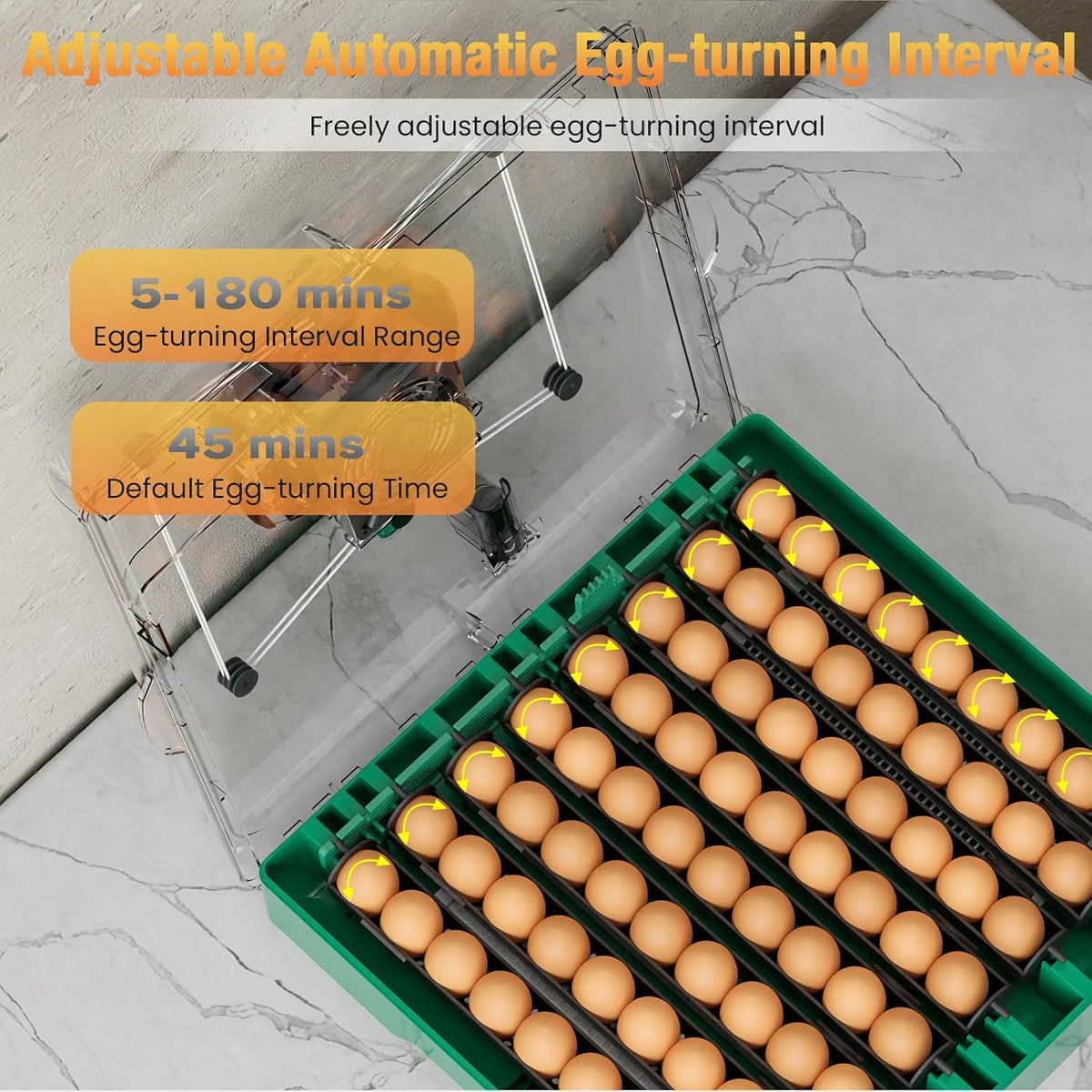72 egg incubator for quail eggs, product photo 6
