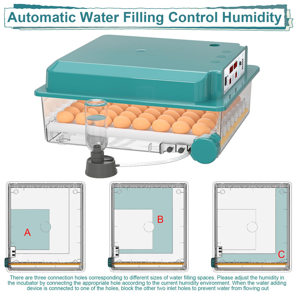 64 egg incubator with day counter, product photo 4