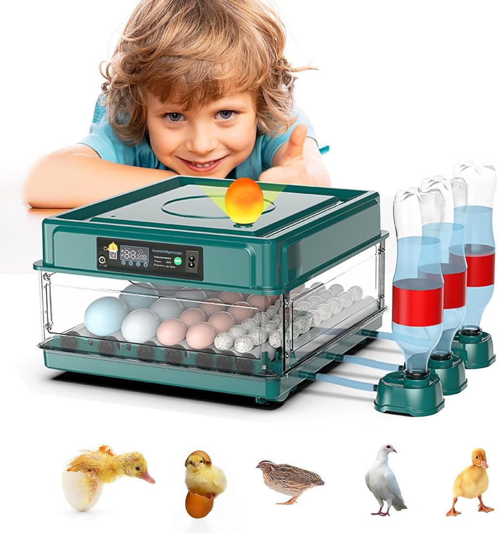 38 egg incubator with built-in candler, product photo 2