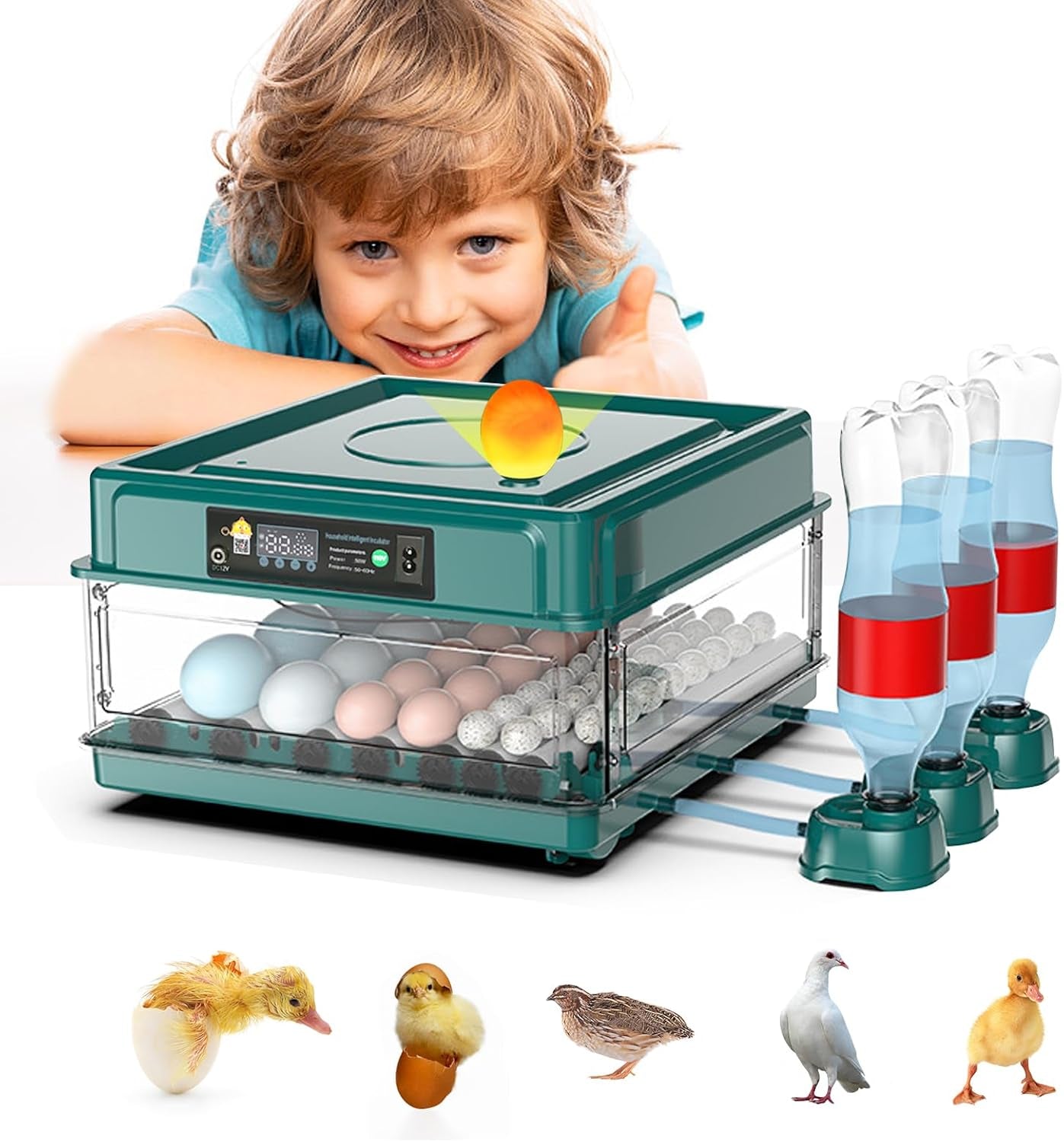 38 egg incubator with built-in candler, product photo 2