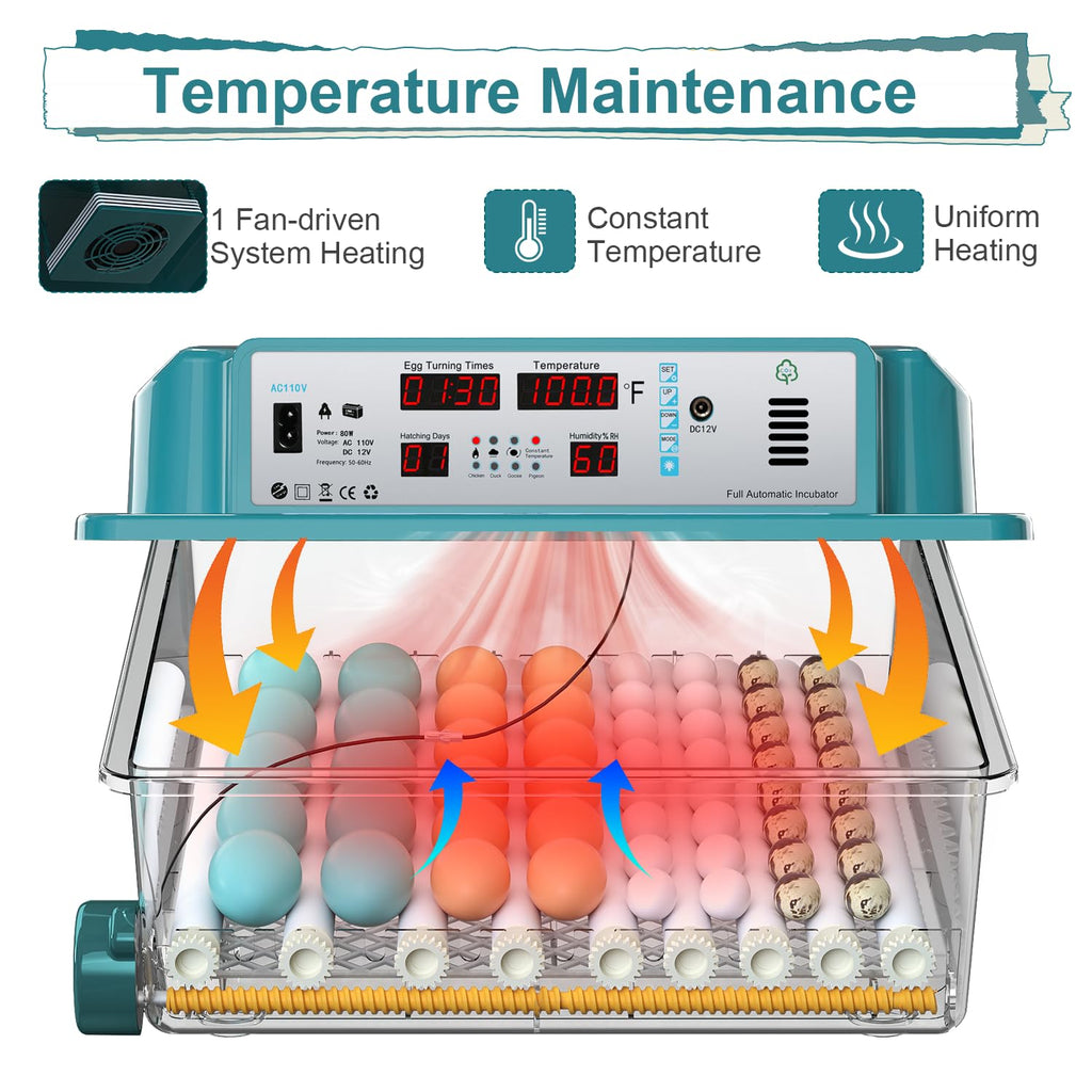 64 egg incubator with day counter, product photo 3
