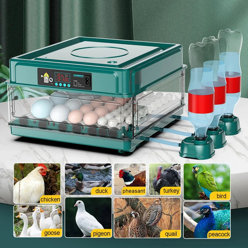 6 and 12 egg incubator for chicken and quail eggs, product photo 6