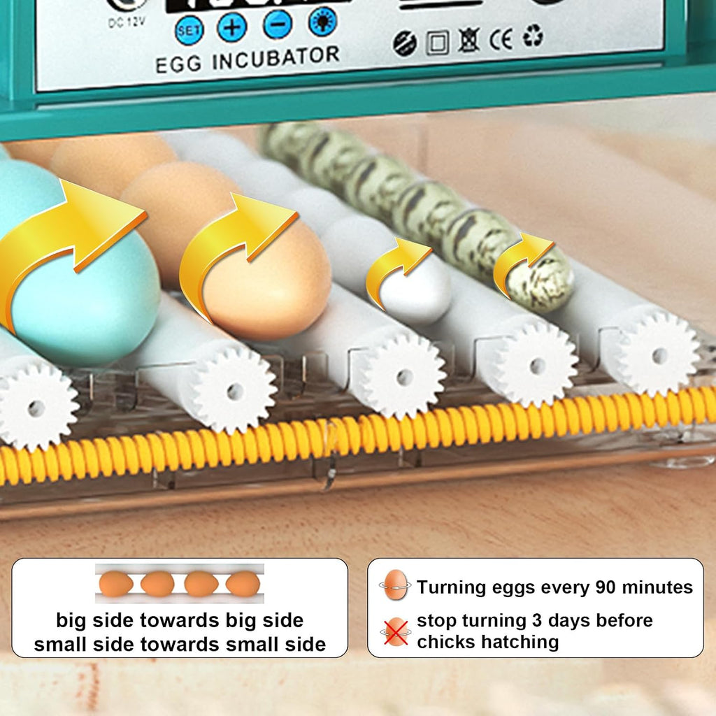 16 egg incubator with automatic turner, product photo 4