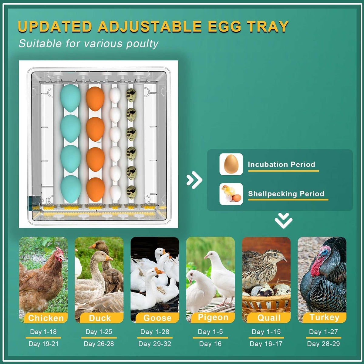 36 egg incubator with automatic water fill, product photo 7
