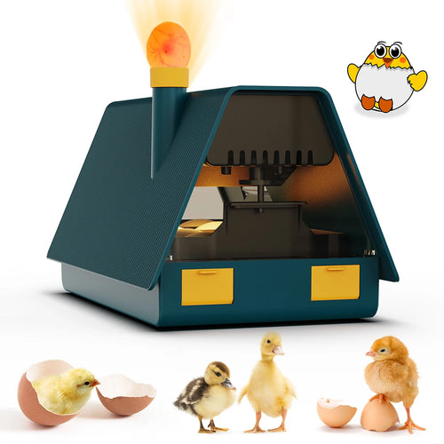 10 egg incubator for classrooms, front view