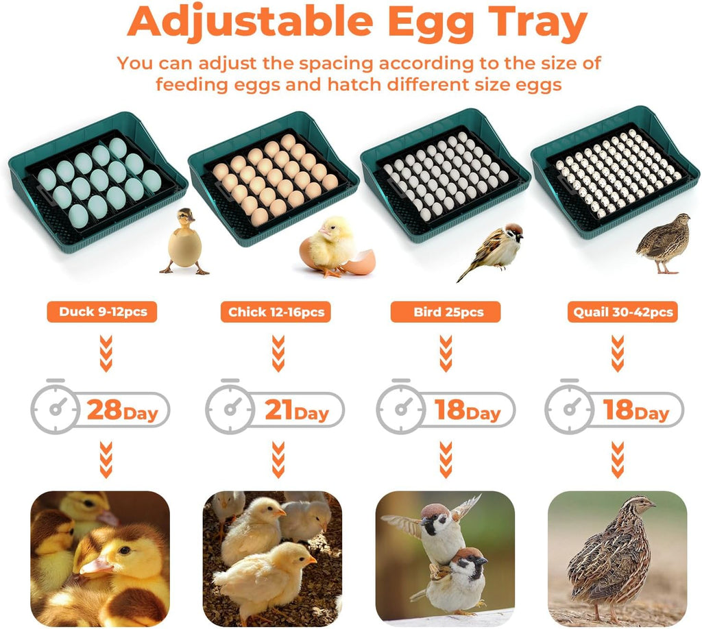 25 egg incubator with temperature alarm, product photo 8