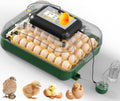 30 egg incubator with automatic water refill, front view