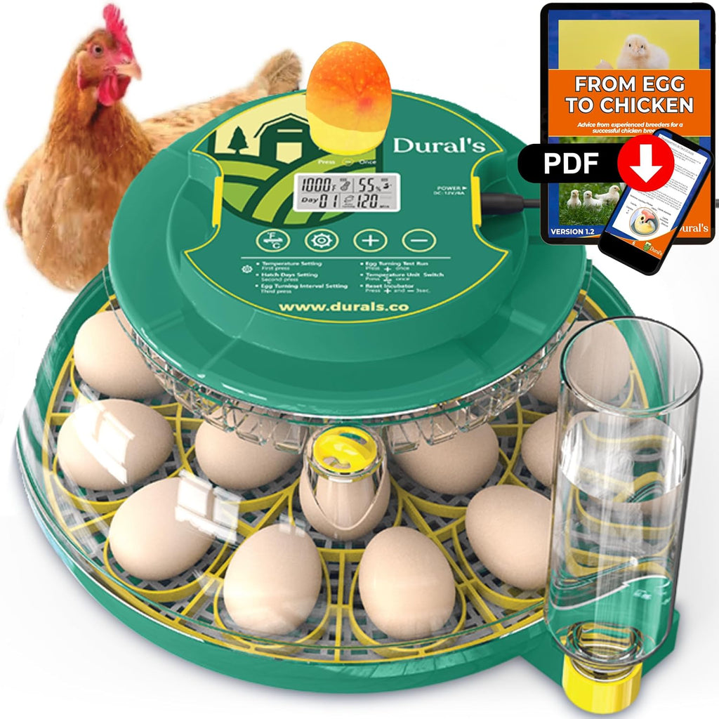 18 egg incubator with automatic turner, front view