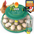 18 egg incubator with automatic turner, front view
