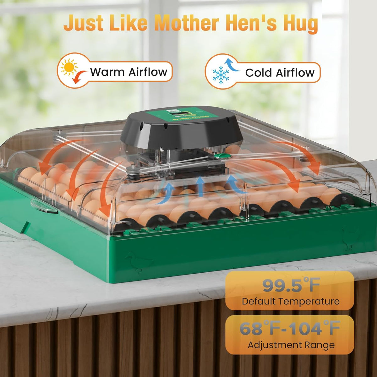 72 egg incubator for quail eggs, product photo 4