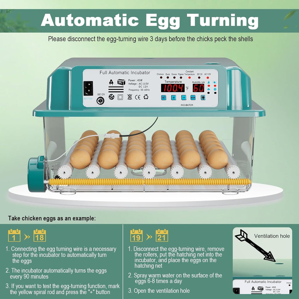 36 egg incubator with egg candler, product photo 4