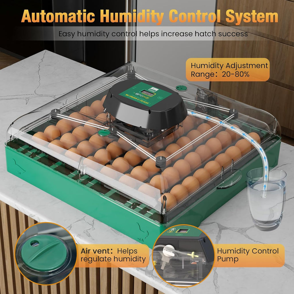 72 egg incubator for quail eggs, product photo 3