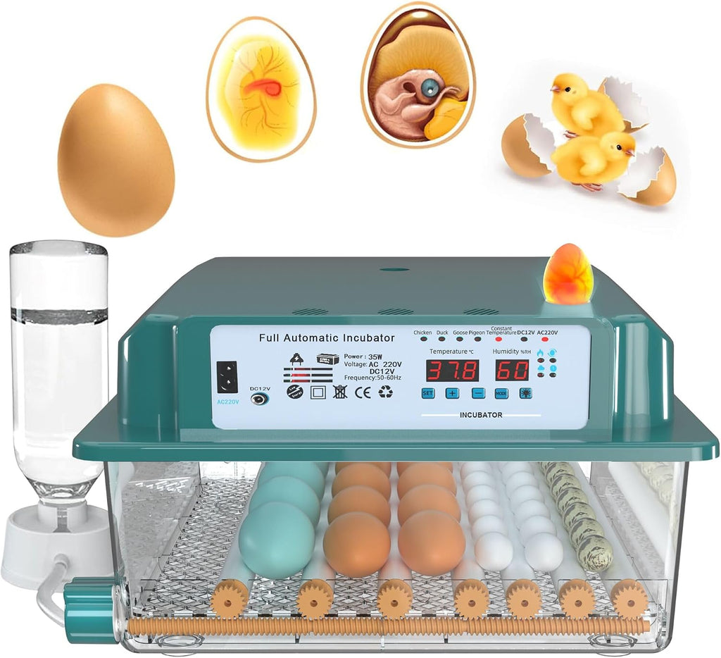 36 egg incubator with 12V battery backup, front view