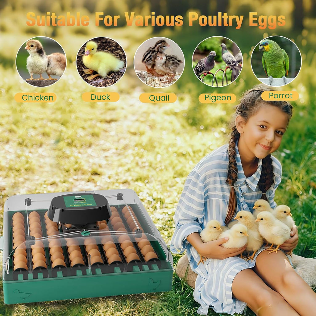 72 egg incubator for quail eggs, product photo 9