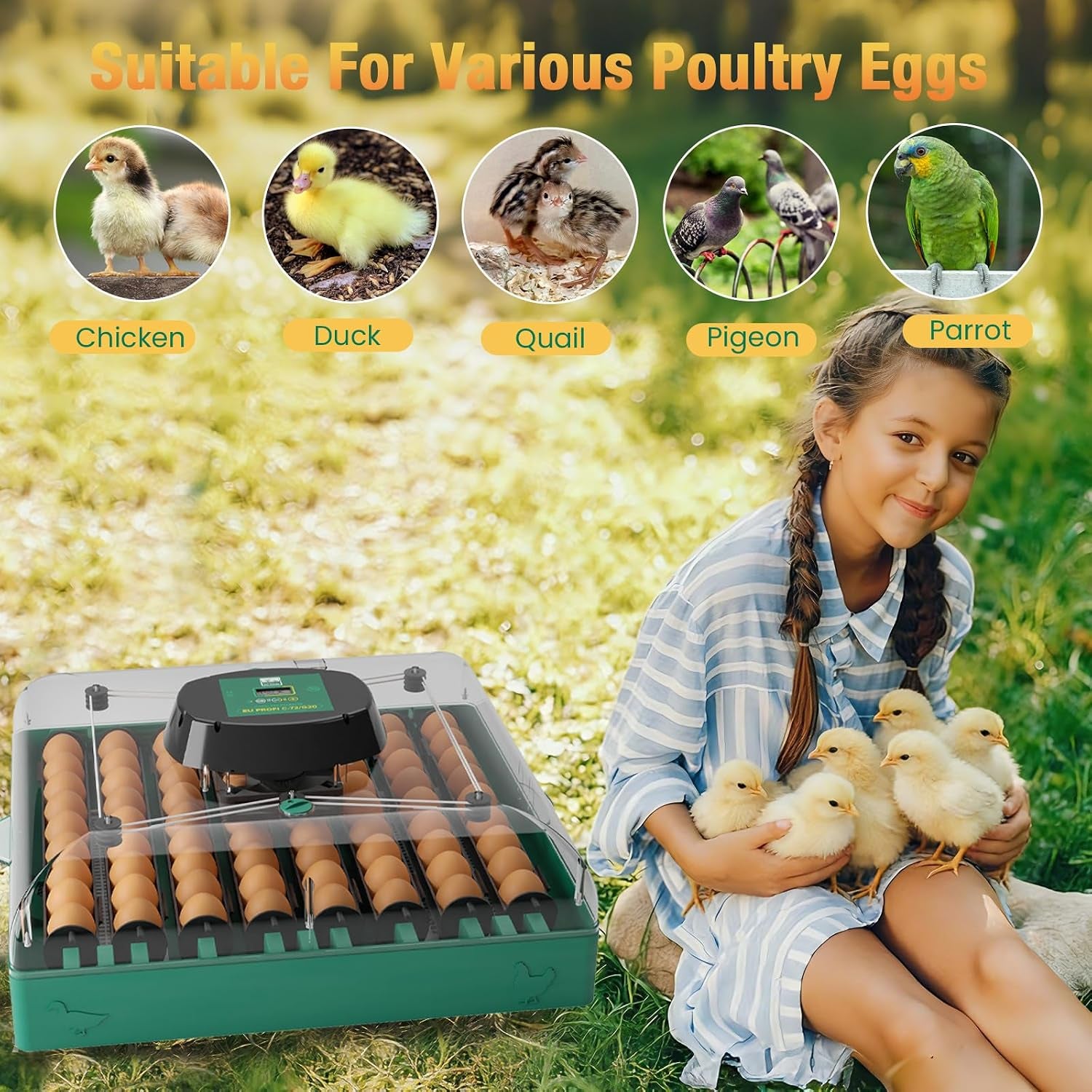 72 egg incubator for quail eggs, product photo 9