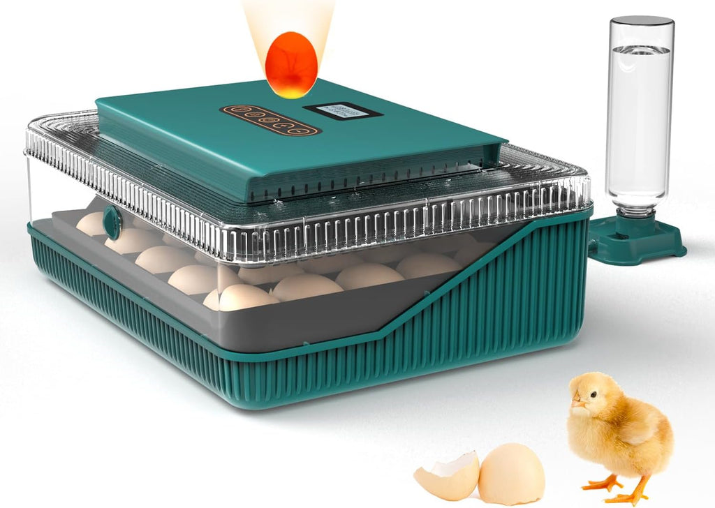 25 egg incubator with forced air circulation, front view