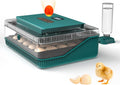 25 egg incubator with forced air circulation, front view