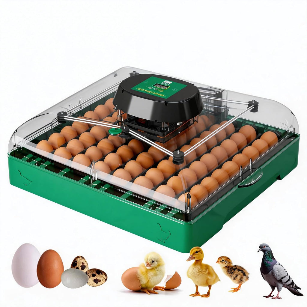 72 egg incubator for quail and small eggs, front view