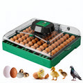 72 egg incubator for quail and small eggs, front view