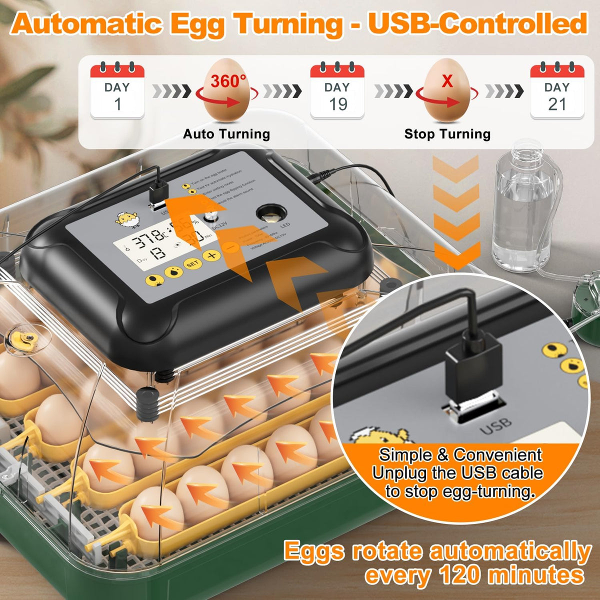 30 egg incubator with automatic water refill, product photo 2