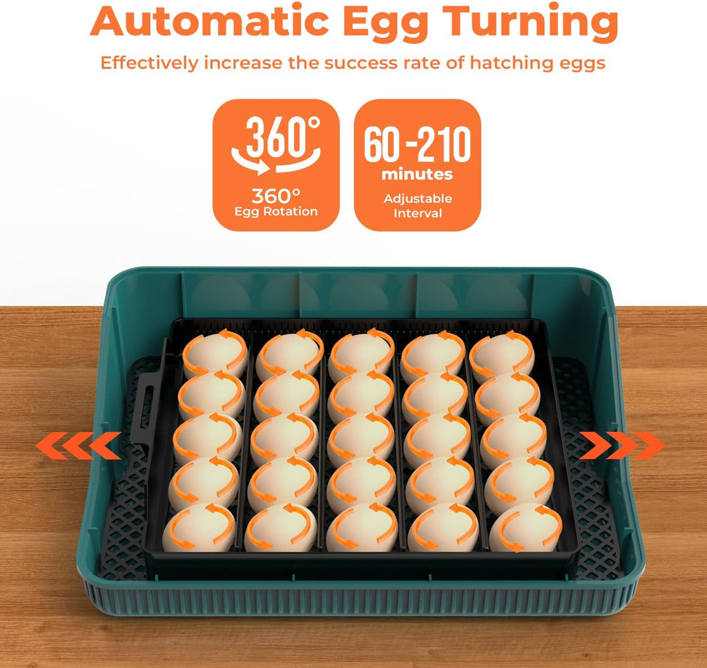 25 egg incubator with temperature alarm, product photo 2