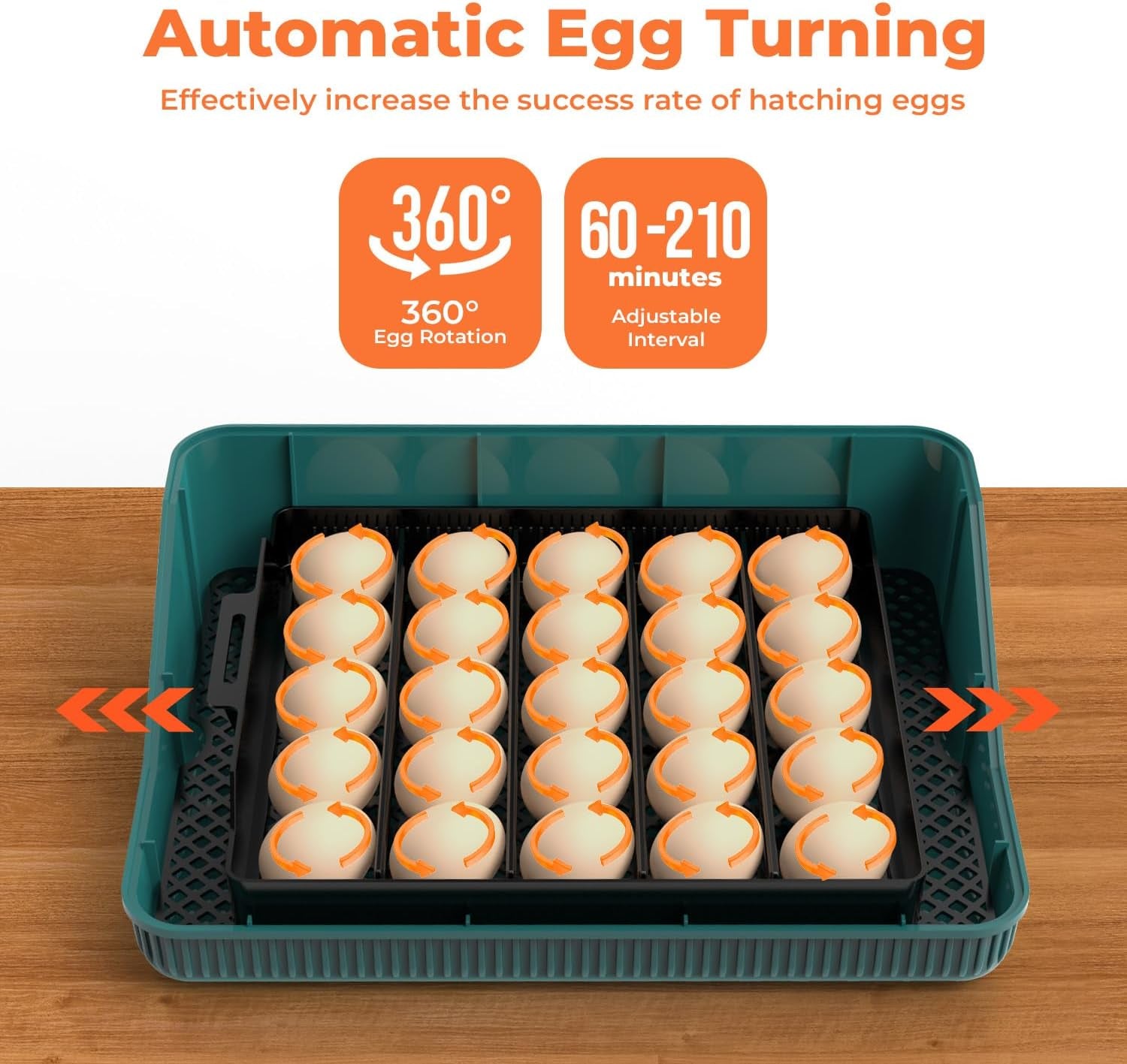 25 egg incubator with temperature alarm, product photo 2