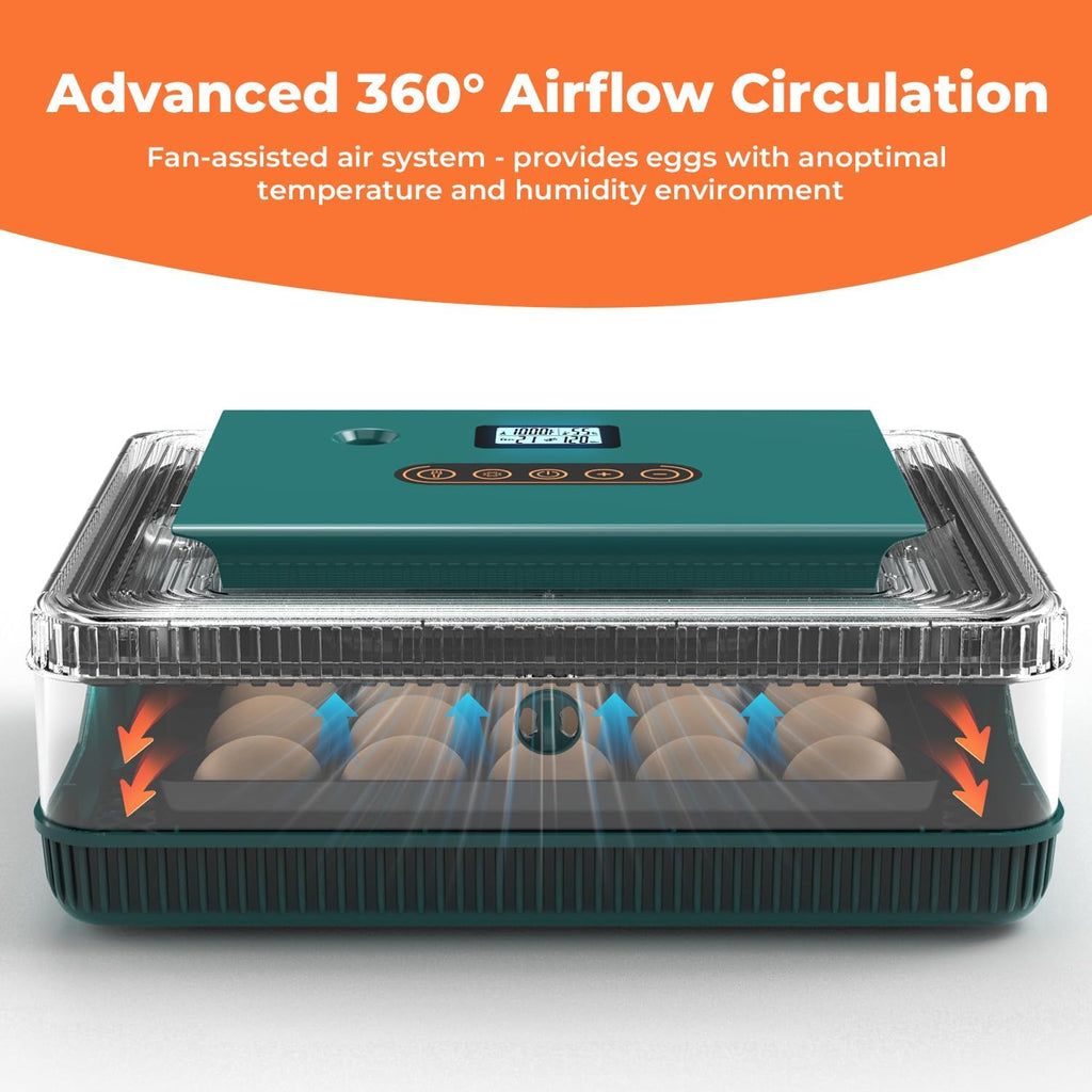 25 egg incubator with temperature alarm, product photo 4